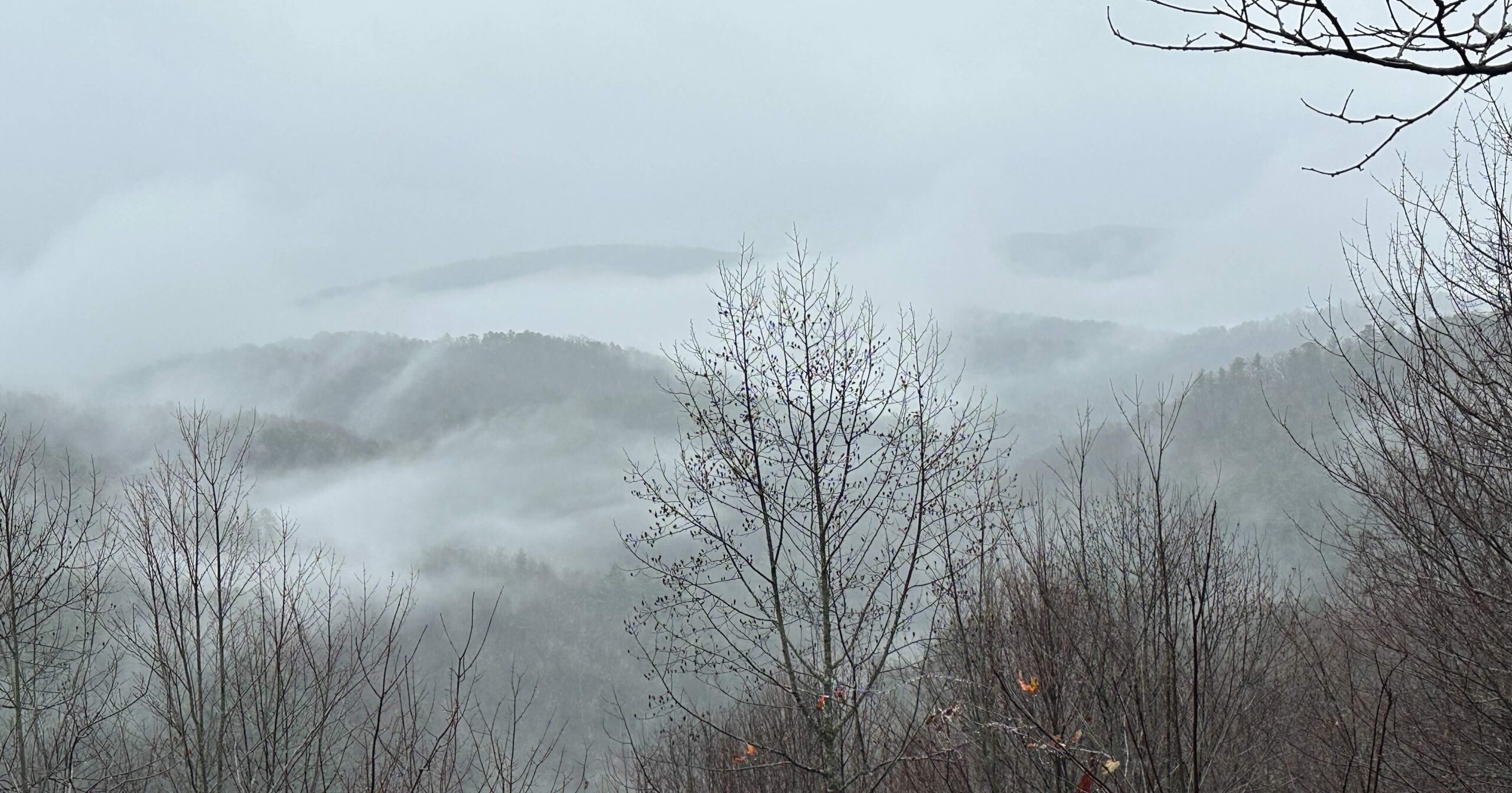 Woman Flees Mysterious Men in South Carolina Wilderness